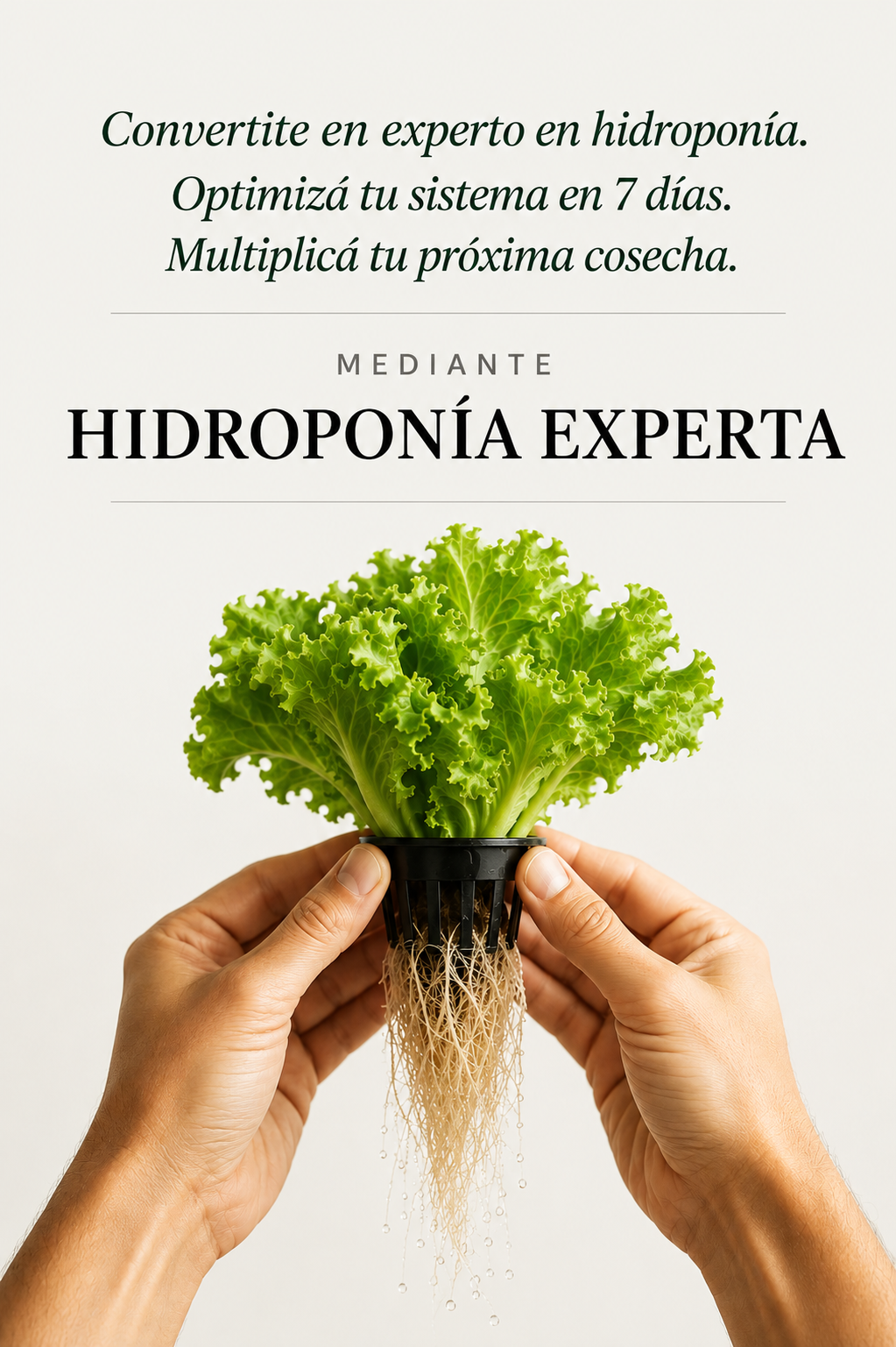 Hidro